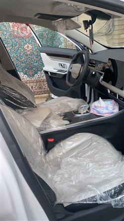 جيتور داشينج